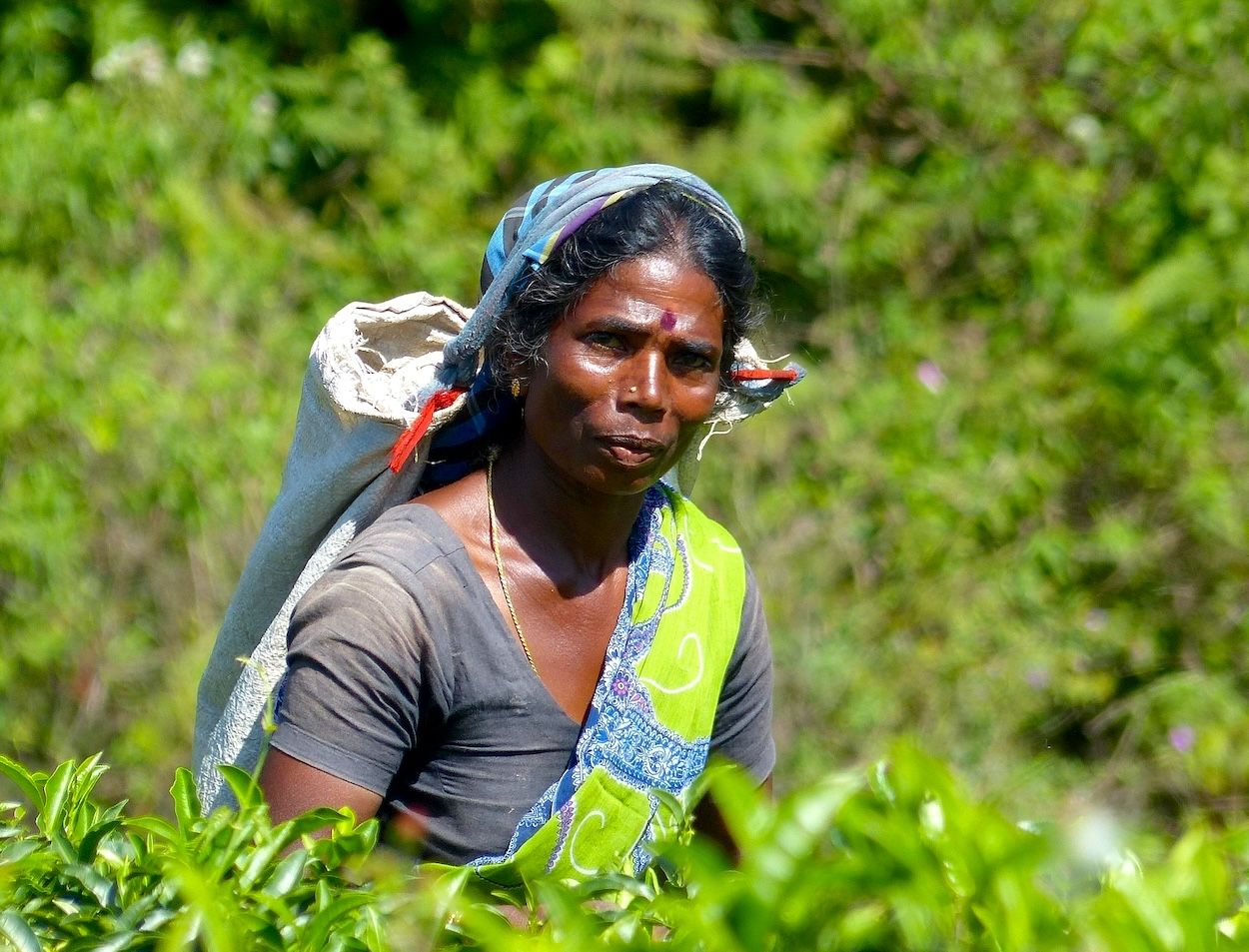 SRI LANKA